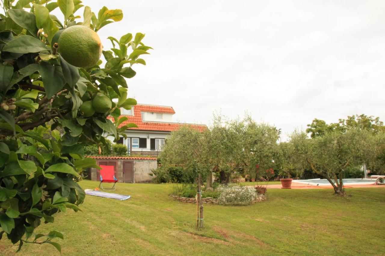 Apartmán La Casa Di Iole Cogna Exteriér fotografie